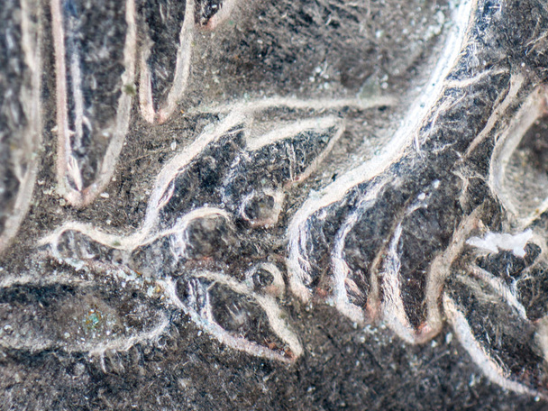 Una imagen microscópica de una moneda de un cuarto de dólar que representa una porción del águila calva, incluyendo porciones gastadas e imperfecciones, incluyendo arañazos, raspaduras y fichas en la moneda de plata
. - Foto, imagen