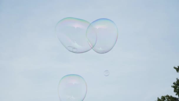 Lassú mozgás buborékok a Central Parkban - Felvétel, videó