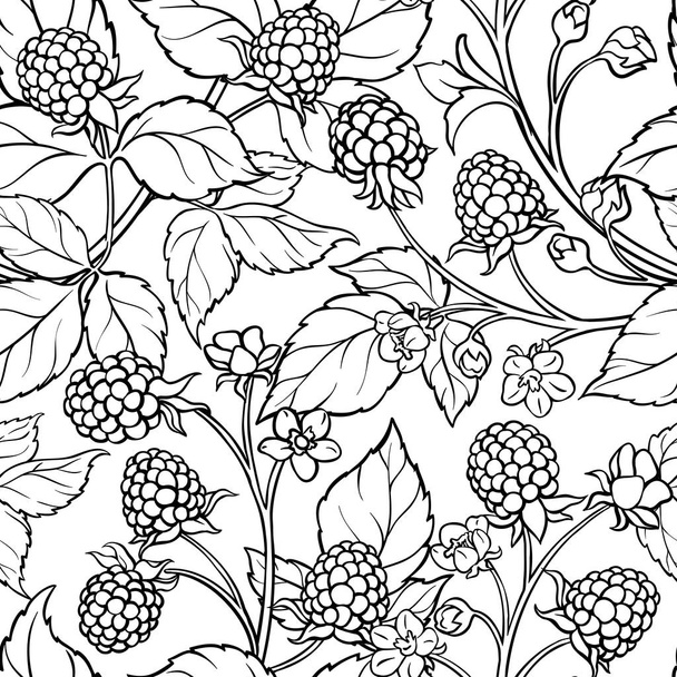blackberry seamless pattern - ベクター画像