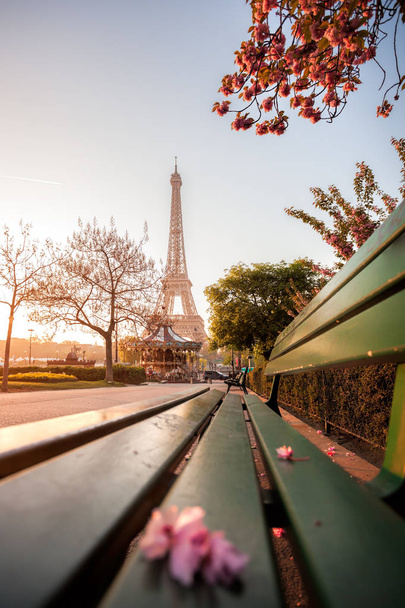 エッフェル塔、パリの春の木 - 写真・画像
