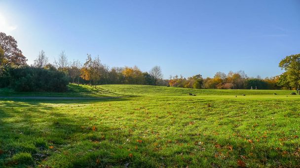 Autumn on a golf course in England - Photo, Image