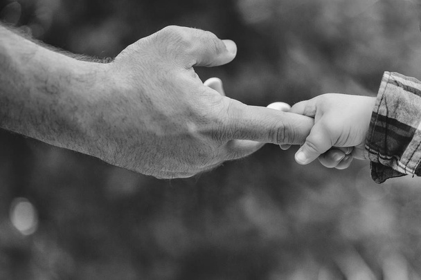 Hands of father and son - Foto, Bild