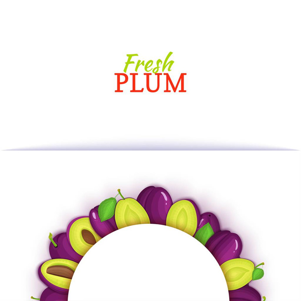 Ημικύκλιο χρωματιστό πλαίσιο που αποτελείται από νόστιμα plum φρούτα. Vector εικονογράφηση κάρτας. Φρέσκα δαμάσκηνα μισό γύρο λευκό πλαίσιο για το σχεδιασμό των τροφίμων συσκευασίες χυμών, πρωινό, καλλυντικά τσάι, detox, δίαιτα. - Διάνυσμα, εικόνα