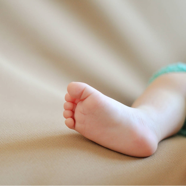 Close up of newborn baby feet - Foto, afbeelding
