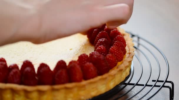 putting Raspberries on tart pan - Footage, Video