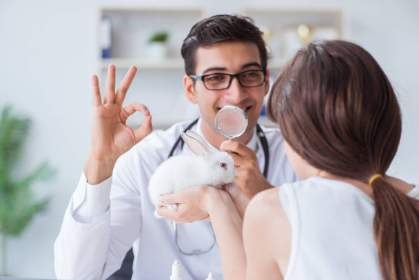 Woman with pet rabbit visiting vet doctor - Photo, Image