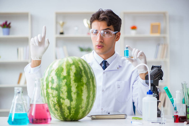 Vědec testuje meloun v laboratoři - Fotografie, Obrázek