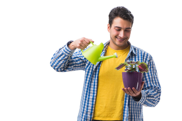 Young man with flower pot isolated on white - Photo, Image