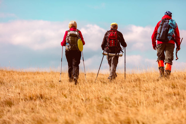 Vista trasera de los jóvenes amigos en el campo durante las vacaciones de verano de senderismo. Grupo de excursionistas caminando en la naturaleza
. - Foto, imagen