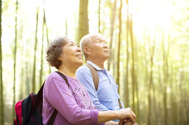 happy Senior Couple hiking in green bamboo forest - Photo, Image