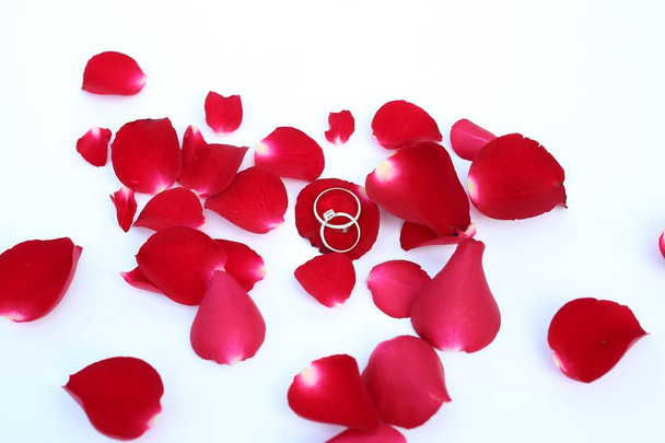 Abstract petals of red Rose with wedding rings on white background - Φωτογραφία, εικόνα