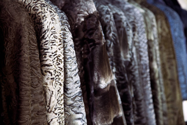 eine Nahaufnahme eines Pelzmantels aus einem natürlichen Astrachan in verschiedenen Farben: braun, grau und schwarz, hängen in einer Reihe im Geschäft - Foto, Bild
