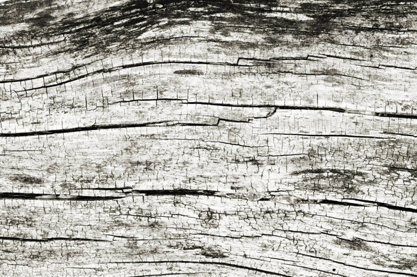 Old wood texture background - Φωτογραφία, εικόνα
