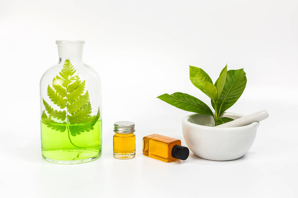 Herbal natural organic skin care serum with plant in white mortar bowl. - Fotó, kép