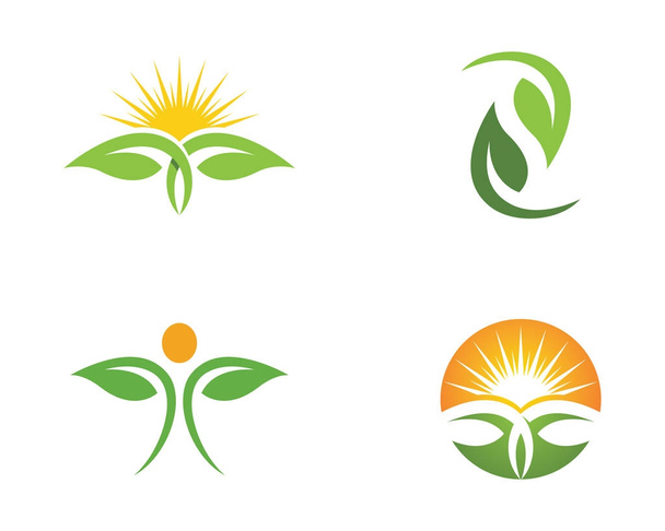 Yaprak doğa Logo şablonu - Vektör, Görsel