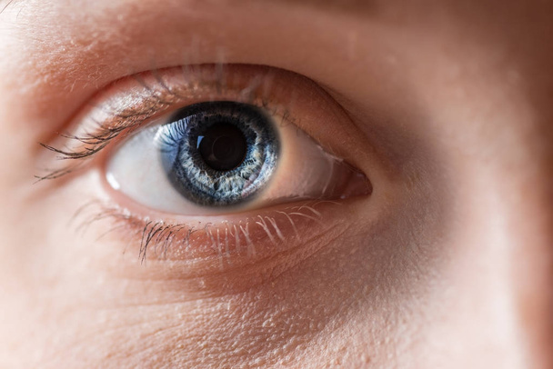 Human blue eye with reflection. Macro shot. - Fotoğraf, Görsel