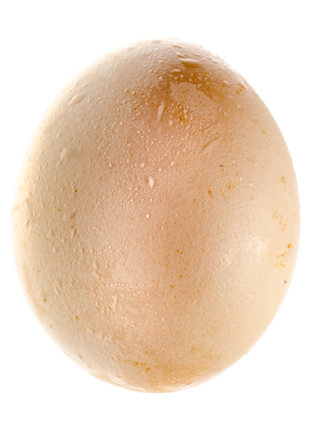 chicken egg - Фото, изображение