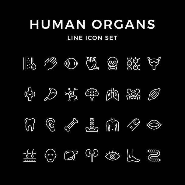 Establecer iconos de línea de órganos humanos
 - Vector, Imagen