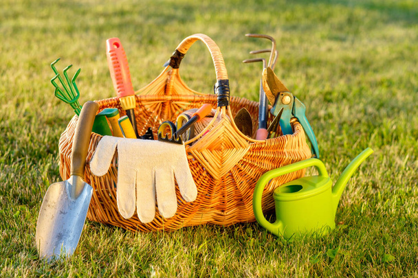 Gardening tools in wicker basket and watering can on grass - Photo, Image