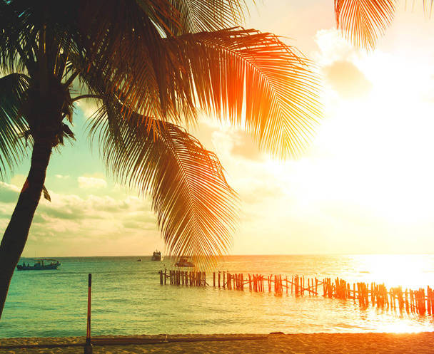 Playa al atardecer con palmeras contra el cielo naranja
  - Foto, Imagen