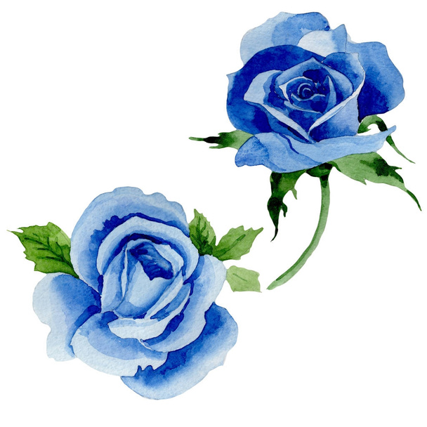 Flor silvestre flor rosa azul en un estilo de acuarela aislado
. - Foto, Imagen