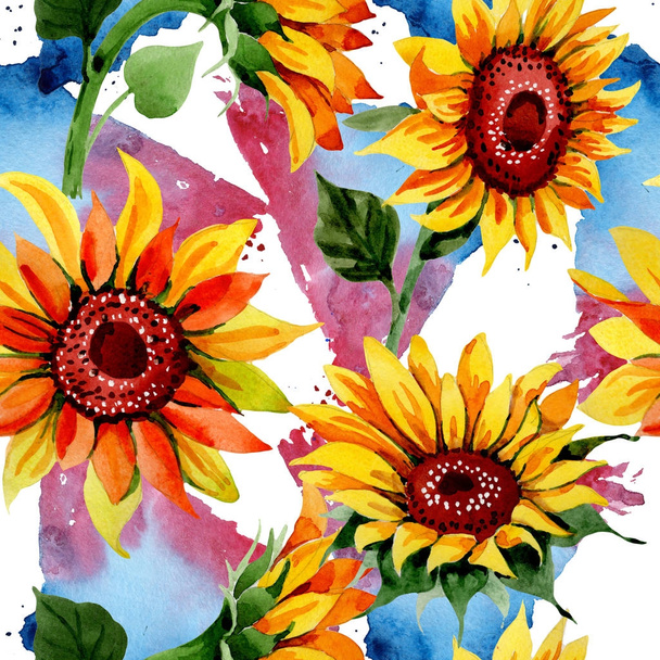 Wildflower sunflower flower pattern in a watercolor style. - Photo, Image