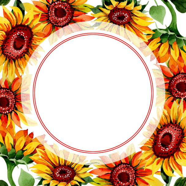 Wildflower sunflower flower frame in a watercolor style. - Valokuva, kuva
