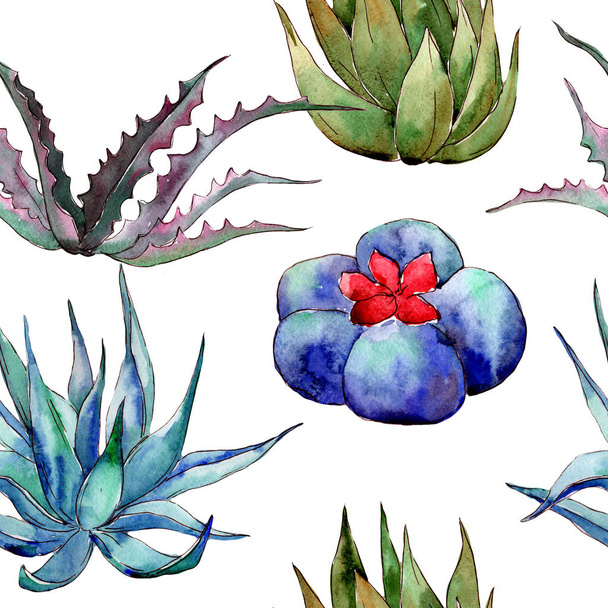 Wildflower Kaktus wzór w stylu przypominającym akwarele. - Zdjęcie, obraz
