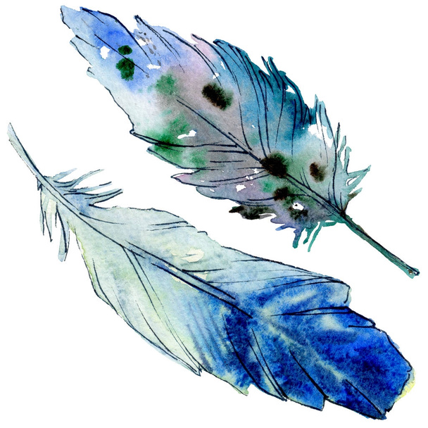 Watercolor bird feather from wing isolated. - Foto, Imagen