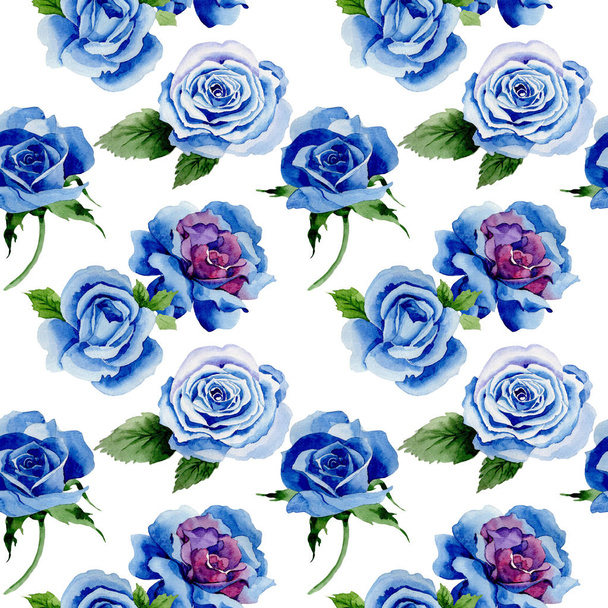 wildflower blue rose flower pattern im Aquarell-Stil. - Foto, Bild