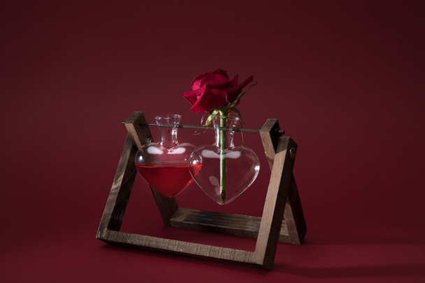 rose rouge en forme de coeur vase et vase avec élixir d'amour sur rouge
 - Photo, image
