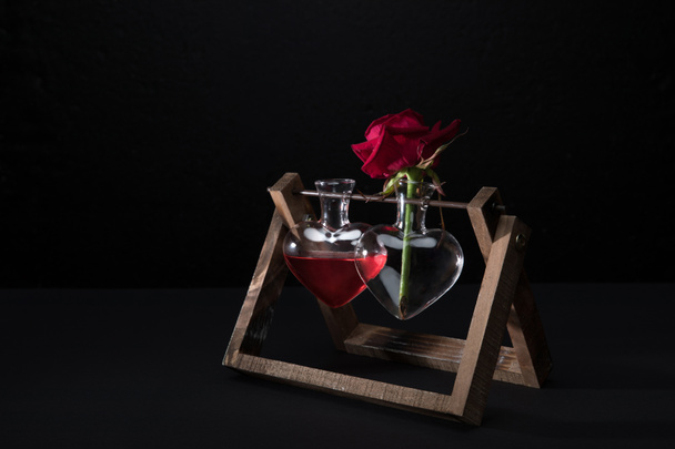 şeklinde vazo ve vazo ile aşk iksiri siyah izole kalp kırmızı gül - Fotoğraf, Görsel