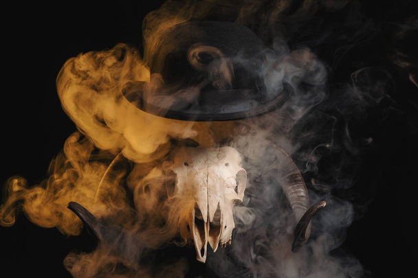 Ram skull with horns and a bowler hat  - Fotografie, Obrázek