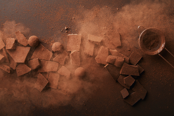 κάτοψη της ρύθμισης των διαφόρων τύπων σοκολάτας, Τρουφάκια και κόσκινο με σκόνη κακάο - Φωτογραφία, εικόνα