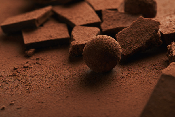 close up view of sweet truffle and chocolate in cocoa powder - Фото, изображение