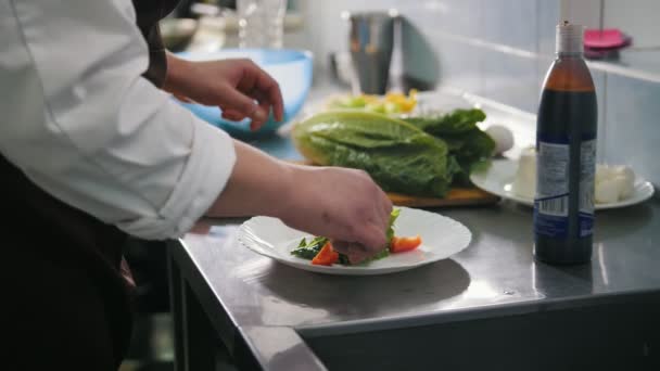 Mies kokki valmistelee salaattia kaupallisessa keittiössä
 - Materiaali, video