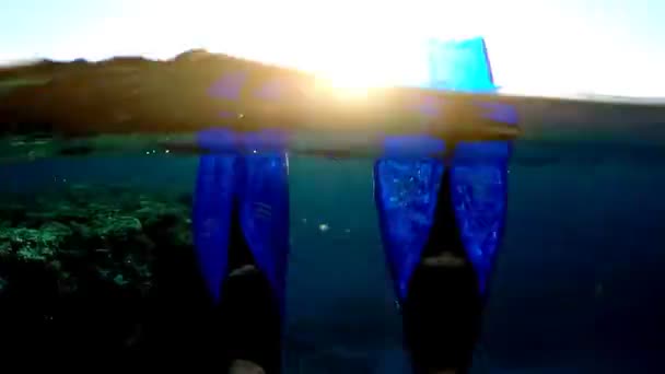 Blaue Flossen an den Füßen des Mannes - Filmmaterial, Video