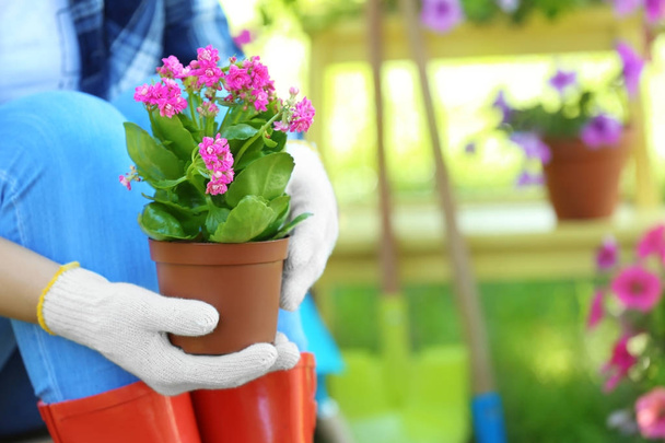 Woman taking care of plants in backyard - Foto, Imagem