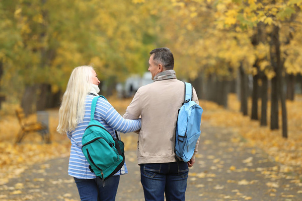 Mature couple taking walk in park - Photo, image