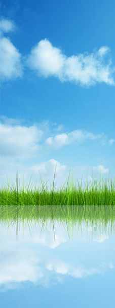 Grama verde sobre um fundo céu azul
 - Foto, Imagem