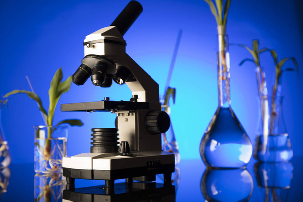 Biotecnologia e scienza floreale tema. Sperimentare la flora in laboratorio. Fondo blu
. - Foto, immagini