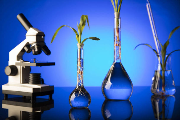 Biotecnologia e scienza floreale tema. Sperimentare la flora in laboratorio. Fondo blu
. - Foto, immagini