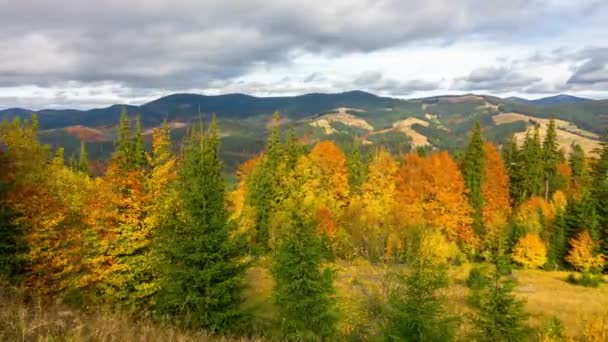 Herfst. Fantastisch berglandschap met een bos, kleurrijke bomen, snel pluizige wolken en schaduwen. Timelapse. - Video