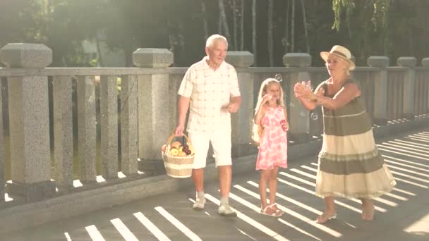 孫娘と楽しいアウトドアの祖父母. - 映像、動画