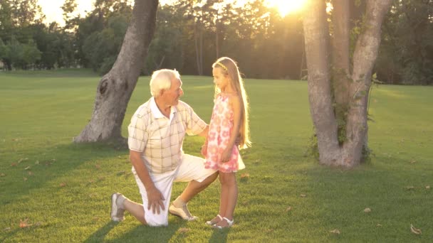 Großvater im Gespräch mit Enkelin im Park. - Filmmaterial, Video