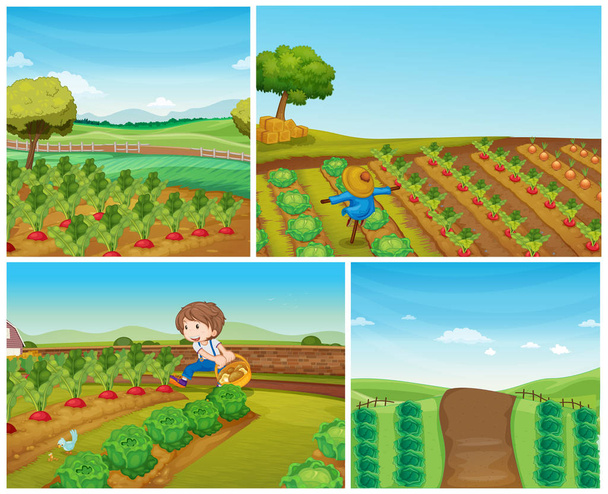 Четыре сцены на ферме с овощами и пугалом
 - Вектор,изображение