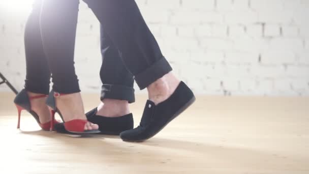 Tänzer Füße tragen Modeschuhe - Familienpaar tanzt Kizomba im Studio - Filmmaterial, Video