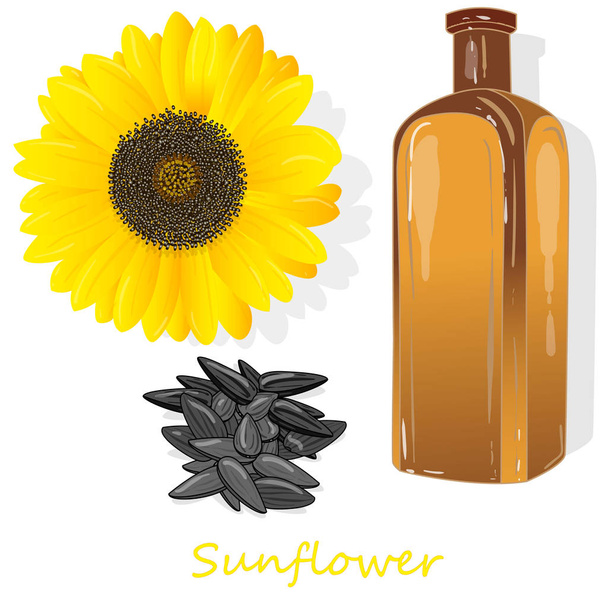 Slunečnicový olej láhev izolovaných na bílém ilustrace - Vektor, obrázek
