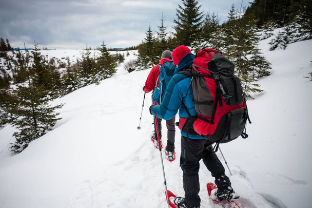zwei Bergsteiger im Winter. - Foto, Bild