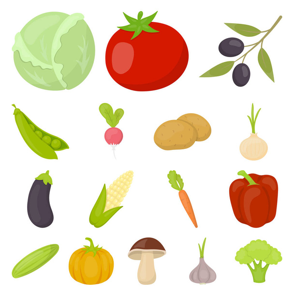 Diferentes tipos de ícones de desenhos animados vegetais na coleção de conjuntos para design. Vegetais e vitaminas símbolo vetorial web ilustração
. - Vetor, Imagem